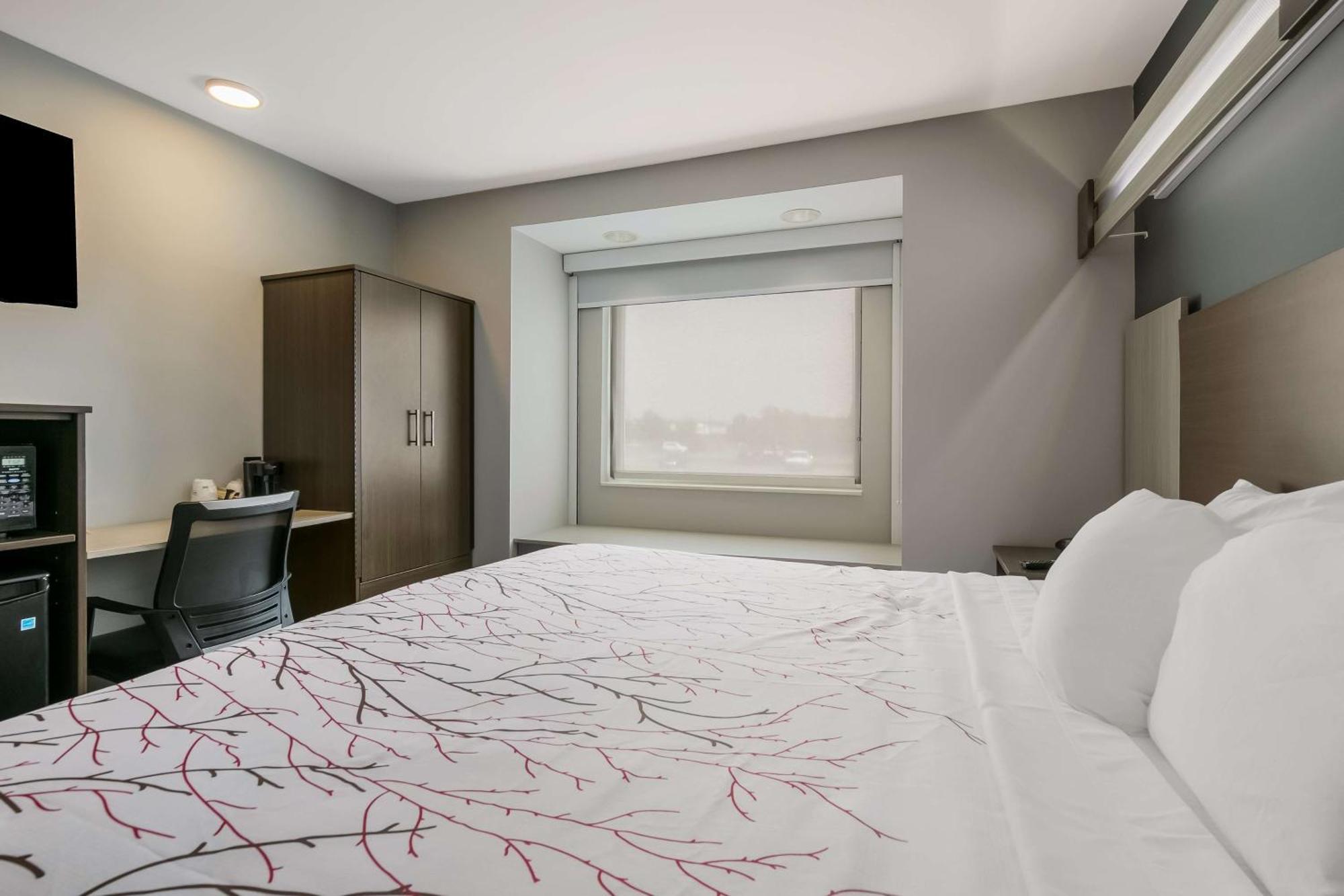 Surestay Plus Hotel By Best Western Sevierville Ngoại thất bức ảnh